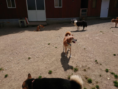f:id:roukenhome-ann:20190519174231j:plain