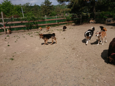 f:id:roukenhome-ann:20190519174301j:plain
