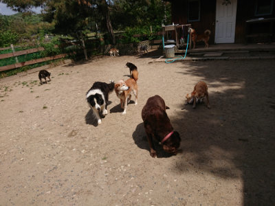 f:id:roukenhome-ann:20190519174312j:plain