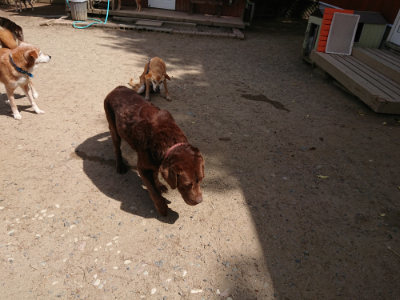 f:id:roukenhome-ann:20190519174318j:plain