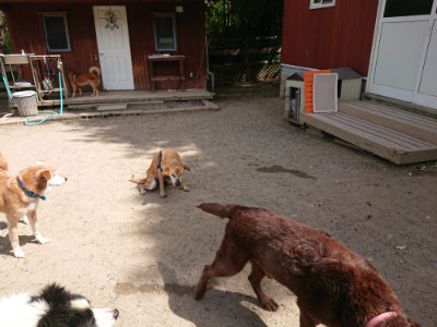 f:id:roukenhome-ann:20190519174324j:plain