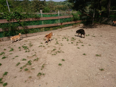 f:id:roukenhome-ann:20190519174331j:plain