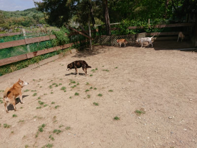 f:id:roukenhome-ann:20190519174344j:plain