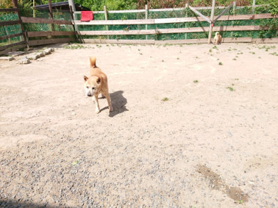 f:id:roukenhome-ann:20190519174424j:plain