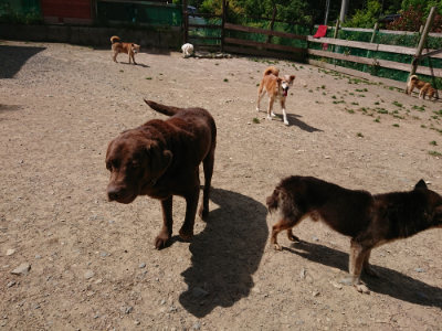 f:id:roukenhome-ann:20190519174429j:plain