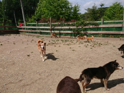 f:id:roukenhome-ann:20190519174441j:plain