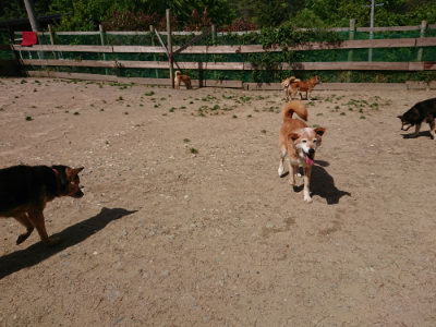 f:id:roukenhome-ann:20190519174447j:plain