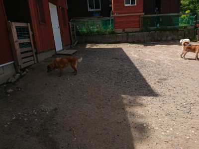 f:id:roukenhome-ann:20190519174452j:plain