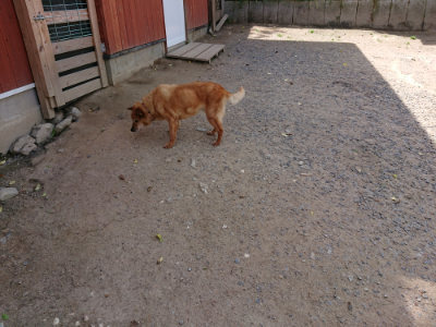f:id:roukenhome-ann:20190519174504j:plain