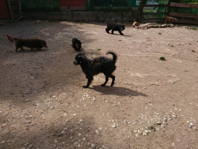 f:id:roukenhome-ann:20190519174518j:plain