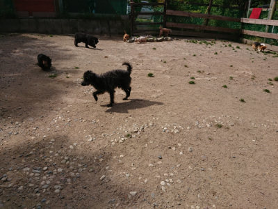 f:id:roukenhome-ann:20190519174527j:plain