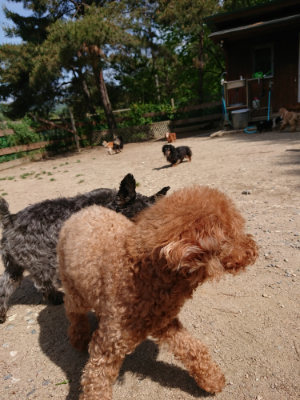 f:id:roukenhome-ann:20190519175029j:plain