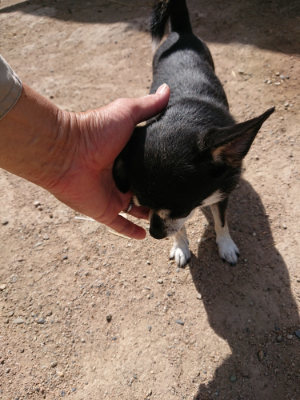 f:id:roukenhome-ann:20190519175049j:plain