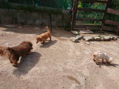 f:id:roukenhome-ann:20190519175055j:plain