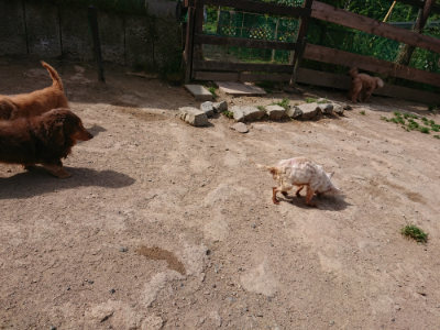 f:id:roukenhome-ann:20190519175101j:plain