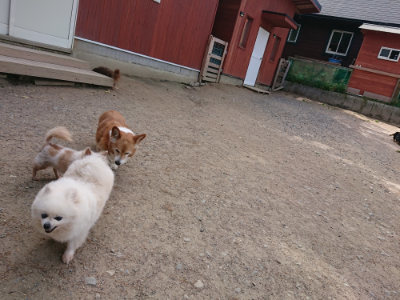 f:id:roukenhome-ann:20190519175114j:plain