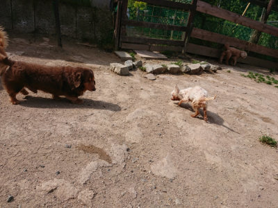 f:id:roukenhome-ann:20190519175121j:plain