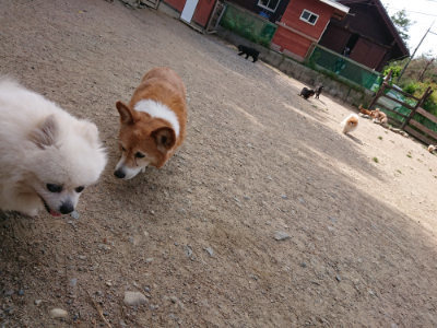f:id:roukenhome-ann:20190519175202j:plain