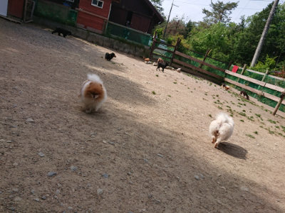 f:id:roukenhome-ann:20190519175225j:plain