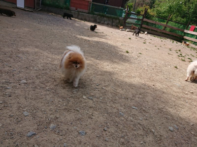 f:id:roukenhome-ann:20190519175232j:plain