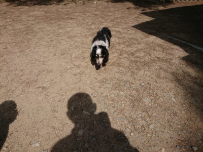 f:id:roukenhome-ann:20190519175241j:plain