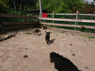 f:id:roukenhome-ann:20190519175249j:plain