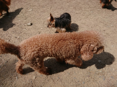 f:id:roukenhome-ann:20190519175258j:plain