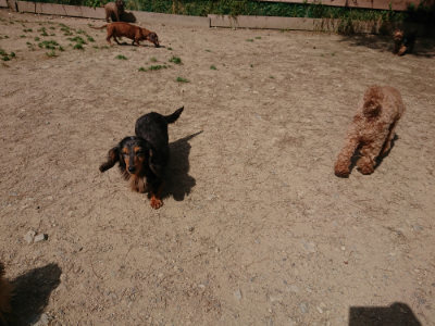 f:id:roukenhome-ann:20190519175307j:plain