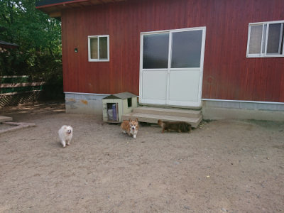 f:id:roukenhome-ann:20190519175329j:plain