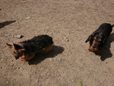 f:id:roukenhome-ann:20190519175336j:plain