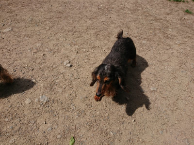 f:id:roukenhome-ann:20190519175348j:plain