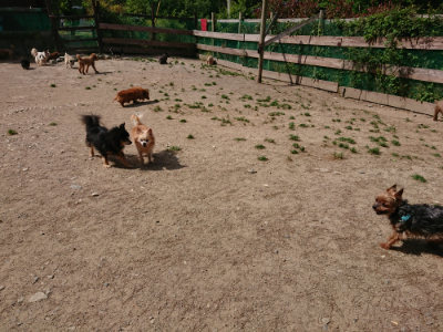 f:id:roukenhome-ann:20190519175419j:plain