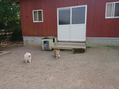 f:id:roukenhome-ann:20190519175427j:plain