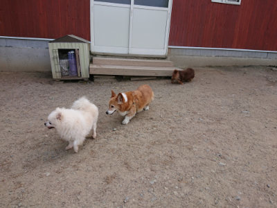 f:id:roukenhome-ann:20190519175433j:plain