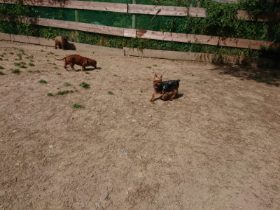 f:id:roukenhome-ann:20190519175443j:plain
