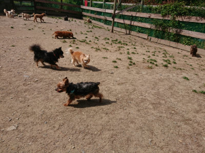 f:id:roukenhome-ann:20190519175450j:plain