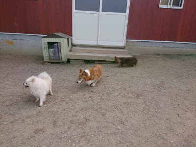 f:id:roukenhome-ann:20190519175505j:plain