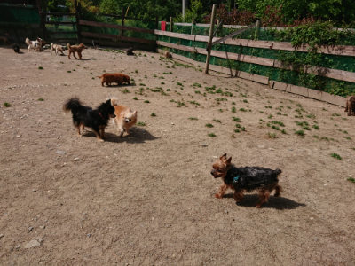 f:id:roukenhome-ann:20190519175513j:plain