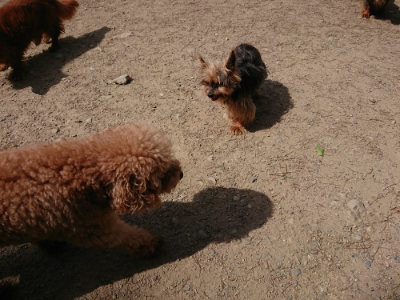 f:id:roukenhome-ann:20190519175531j:plain