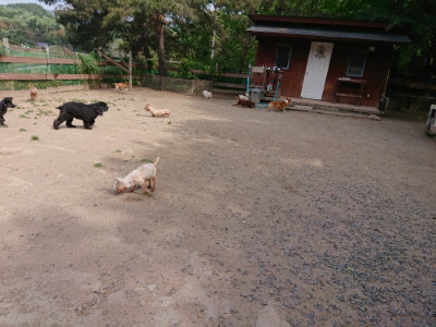 f:id:roukenhome-ann:20190519175538j:plain