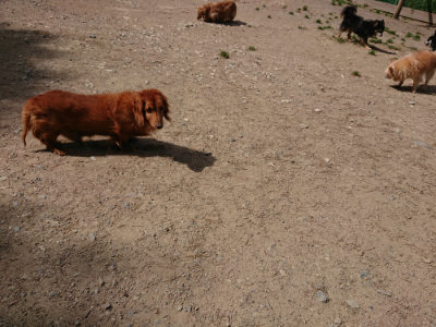 f:id:roukenhome-ann:20190519175548j:plain