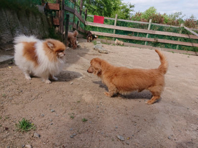 f:id:roukenhome-ann:20190519175555j:plain