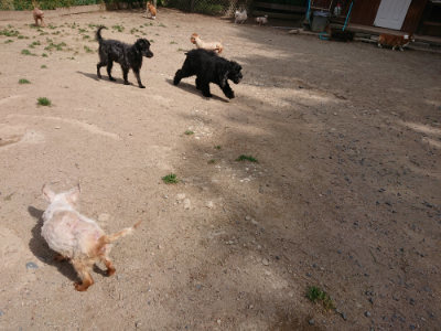 f:id:roukenhome-ann:20190519175604j:plain