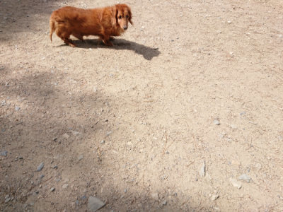 f:id:roukenhome-ann:20190519175614j:plain