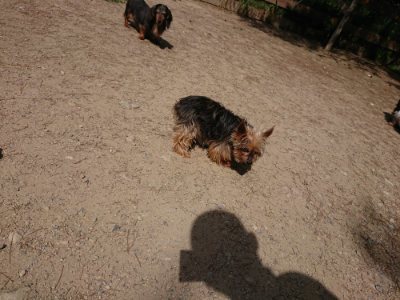 f:id:roukenhome-ann:20190519175620j:plain