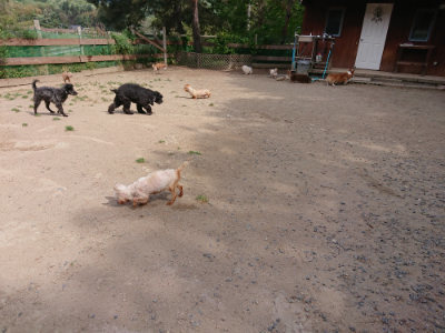 f:id:roukenhome-ann:20190519175627j:plain