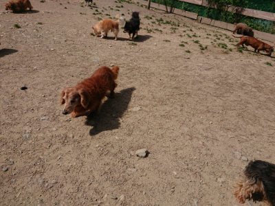 f:id:roukenhome-ann:20190519175642j:plain