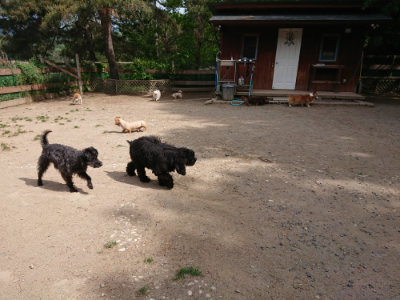 f:id:roukenhome-ann:20190519175649j:plain