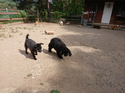 f:id:roukenhome-ann:20190519175657j:plain