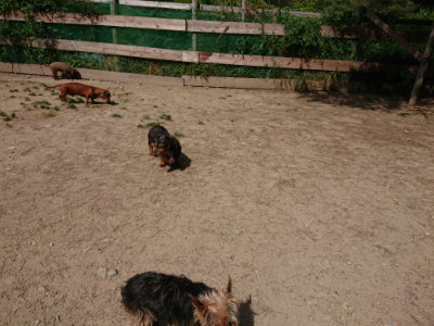 f:id:roukenhome-ann:20190519175707j:plain